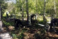 Акция Память по уборке захоронения памятников ветеранов ВОВ 005